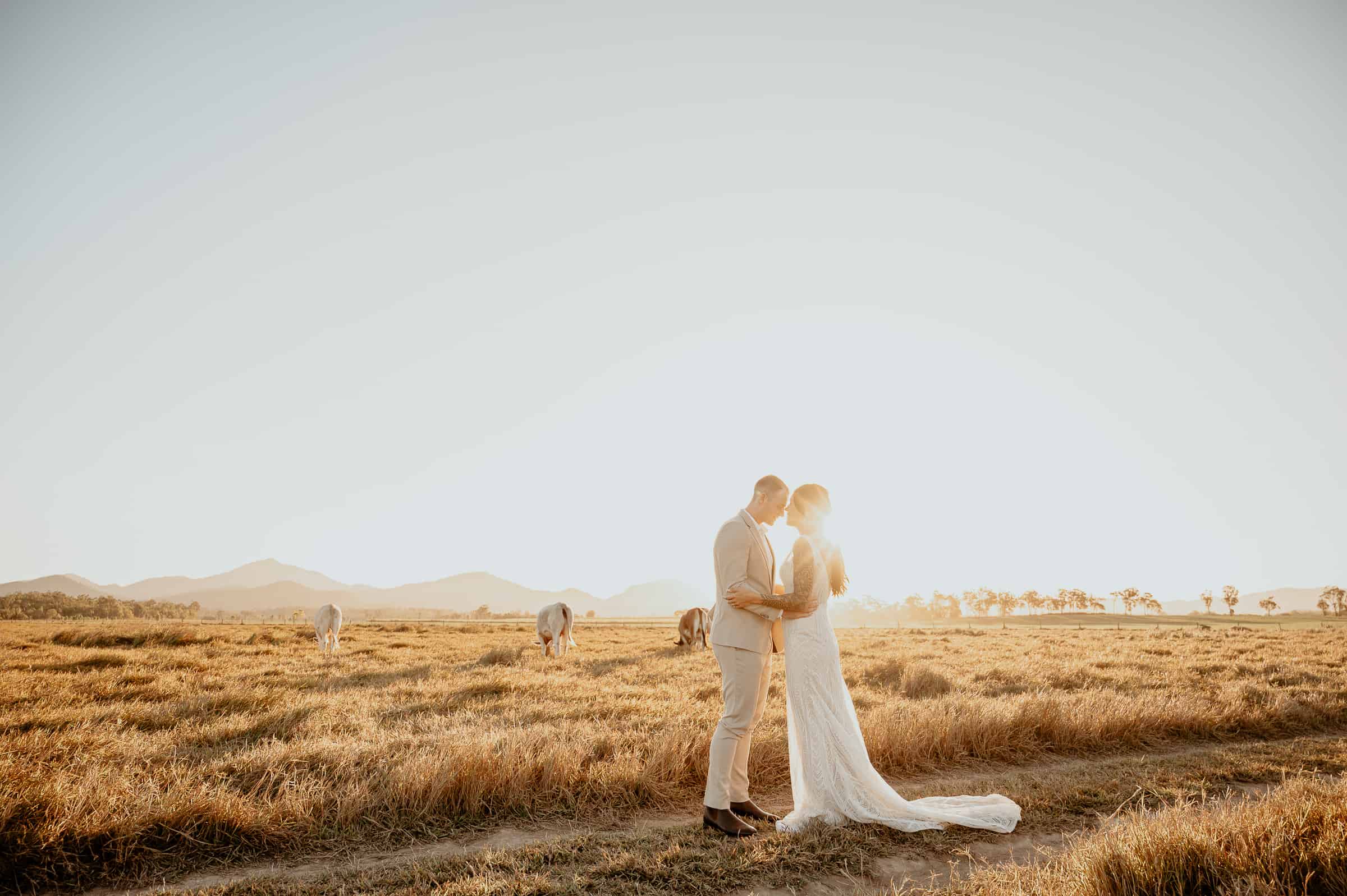 Top Rated Whitsunday Wedding Videographers